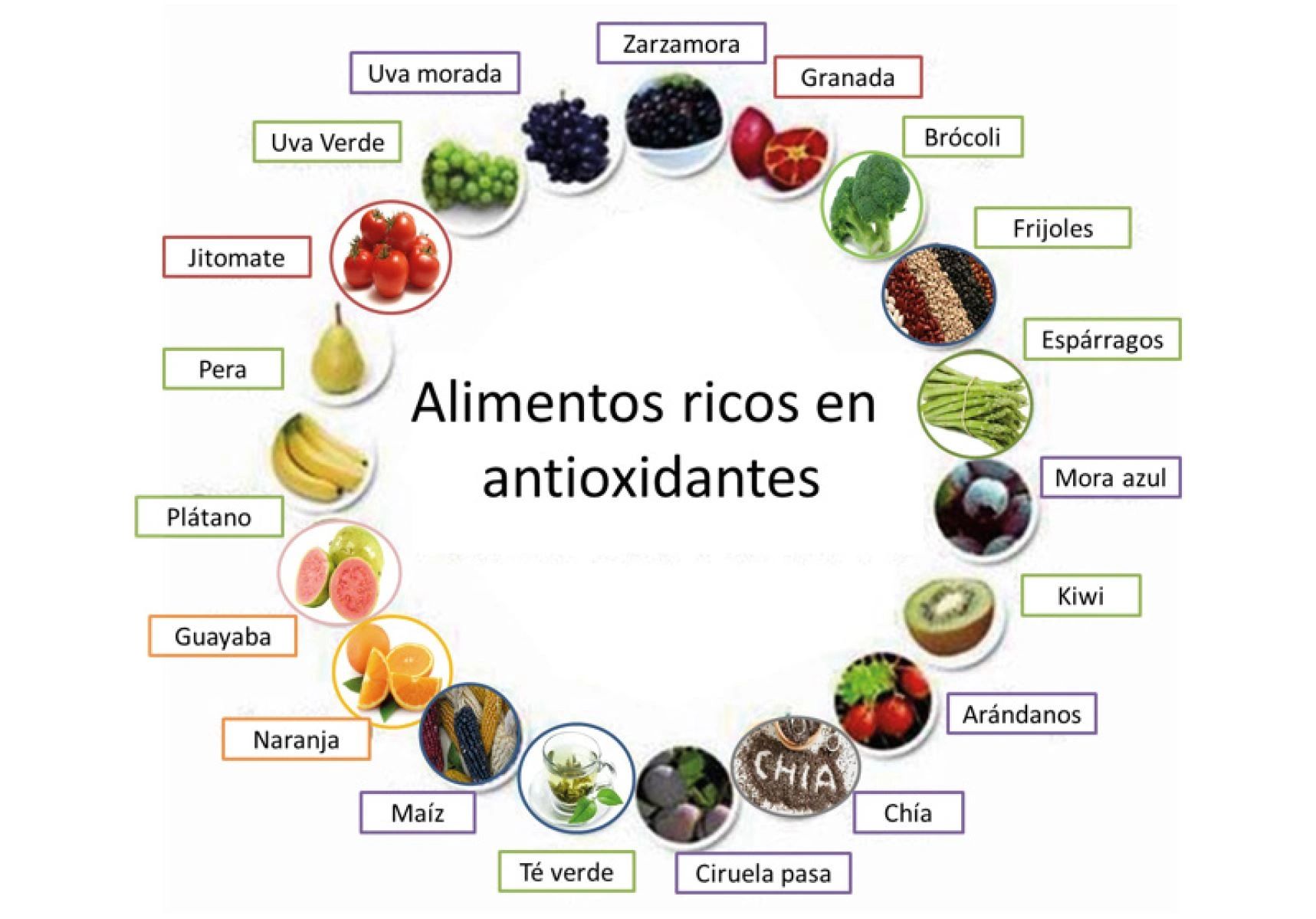 Conoce Los Tipos De Antioxidantes 8711